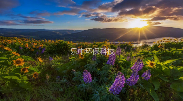污水處理廠活性污泥法日常管理中，需要監(jiān)測(cè)與注意的參數(shù)-樂中環(huán)保