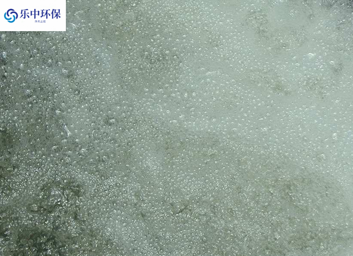 溶氣氣浮機(jī)泡沫多什么原因？如何解決？