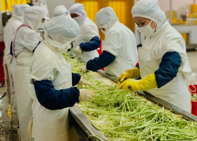 三種食品污水處理設(shè)備工藝流程，看看哪種適合您？