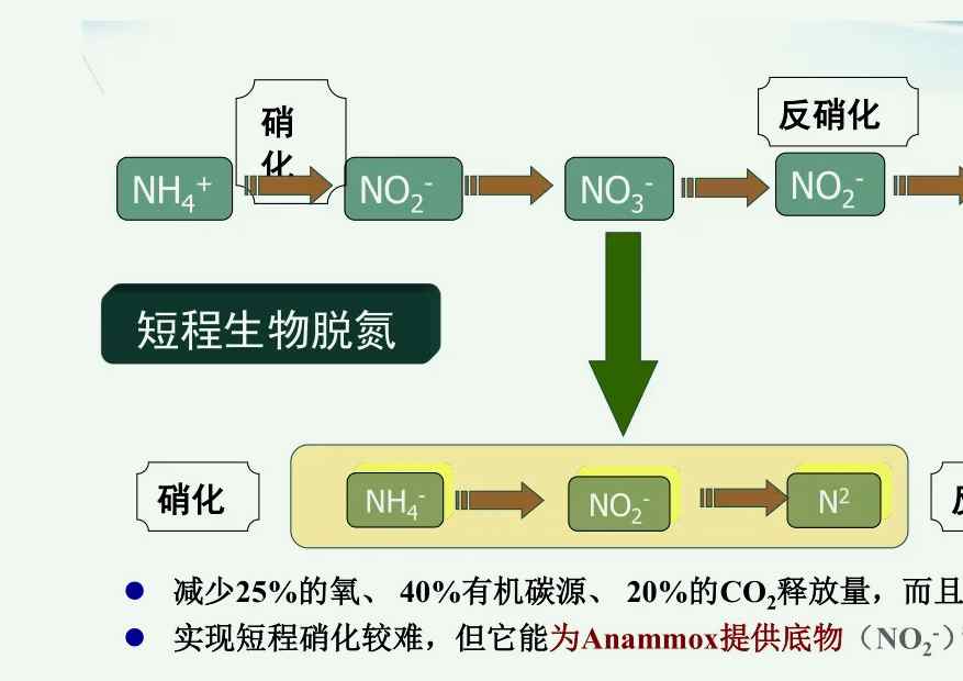 反硝化反應(yīng)是指什么(污水硝化反應(yīng)與反硝化原理) 反硝化反應(yīng)是指什么(污水硝化反應(yīng)與反硝化原理)