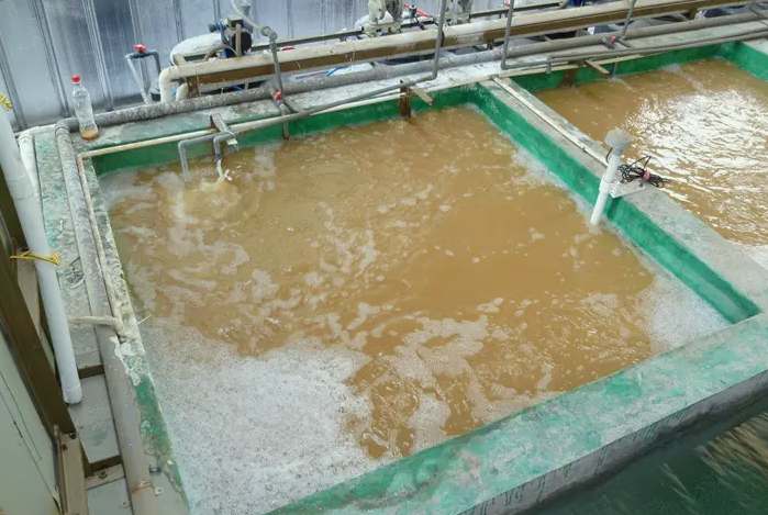 酸洗磷化廢水處理方案(污水除磷主要方法有哪些) 酸洗磷化廢水處理方案(污水除磷主要方法有哪些)