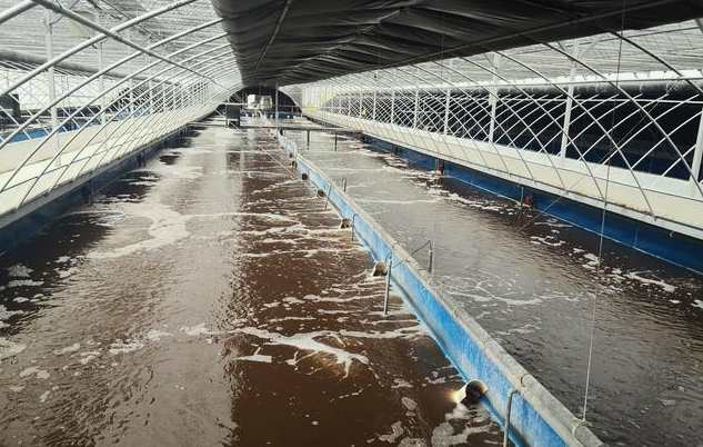 畜禽污水處理的方法、步驟(主流畜禽污水處理工藝有哪些) 畜禽污水處理的方法、步驟(主流畜禽污水處理工藝有哪些)