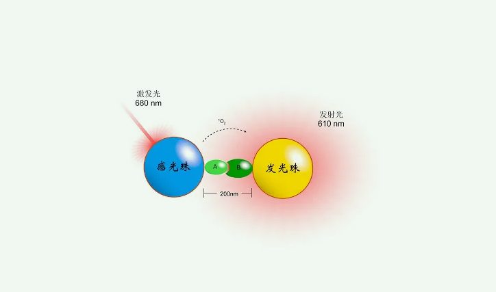 化學(xué)發(fā)光法準確度高嗎(化學(xué)發(fā)光法是什么原理) 化學(xué)發(fā)光法準確度高嗎(化學(xué)發(fā)光法是什么原理)