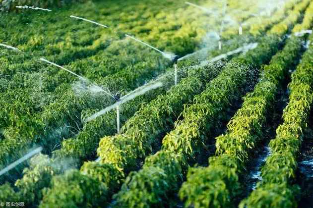 最新農(nóng)田灌溉水質標準2022（灌溉水質標準幾類水排放要求是什么）